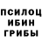 Псилоцибиновые грибы Cubensis Mifisto Egorov
