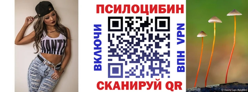 Псилоцибиновые грибы Psilocybe  Купить закладки  Нарткала 